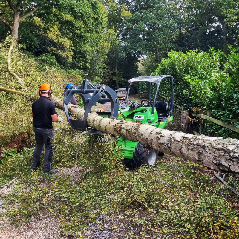 Let Tree and Hedge Work Begin!